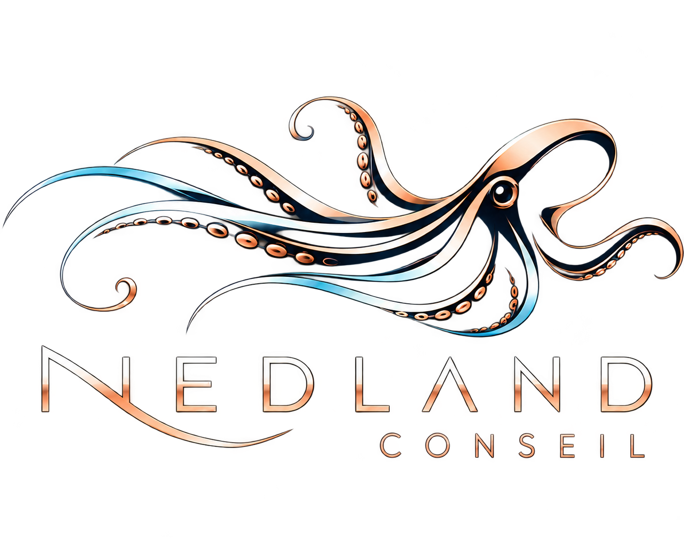 NEDLAND CONSEIL